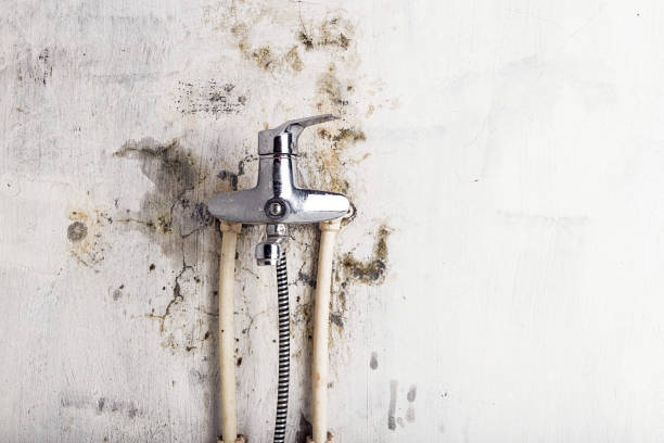 Best Mold Testing  in Oberlin, KS