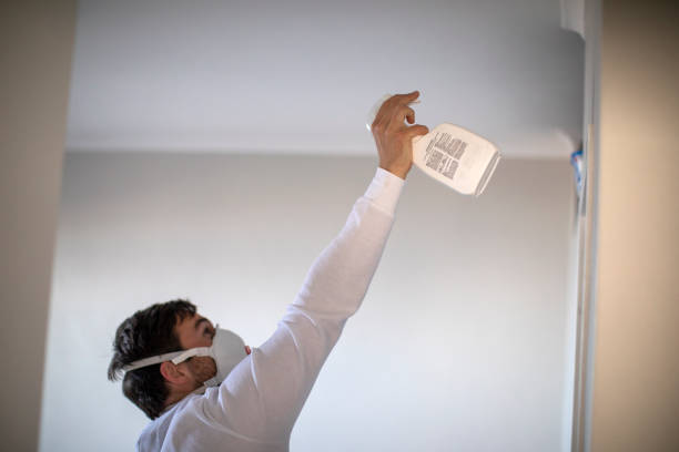 Best Affordable Mold Removal  in Oberlin, KS