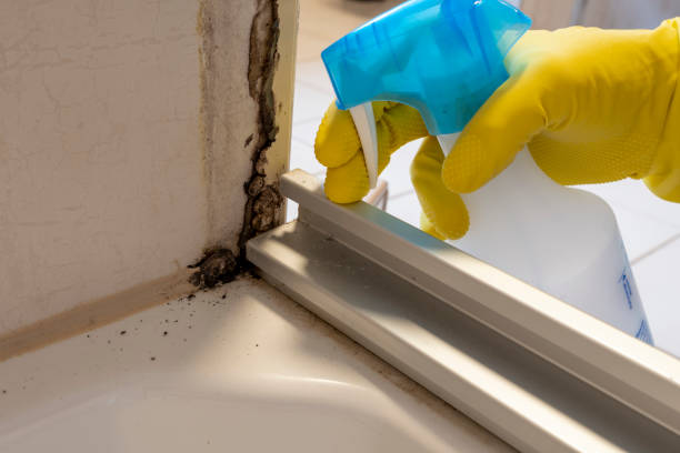 Best Mold Removal Process  in Oberlin, KS