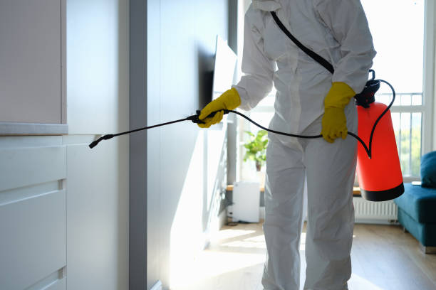 Mold Removal Process in Oberlin, KS