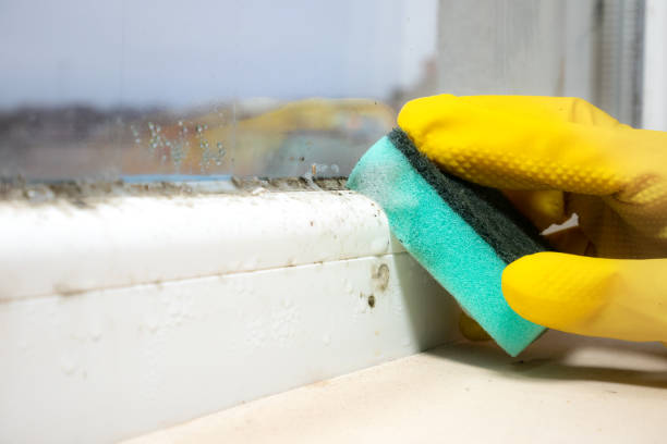 Best Mold Testing  in Oberlin, KS
