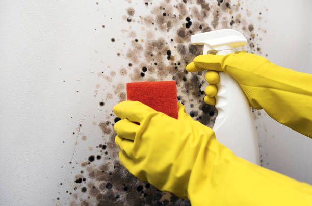 Best Mold Testing  in Oberlin, KS
