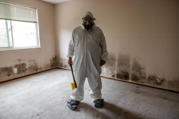 Best Home Mold Removal  in Oberlin, KS
