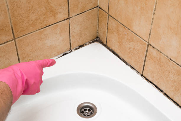 Certified Mold Removal in Oberlin, KS